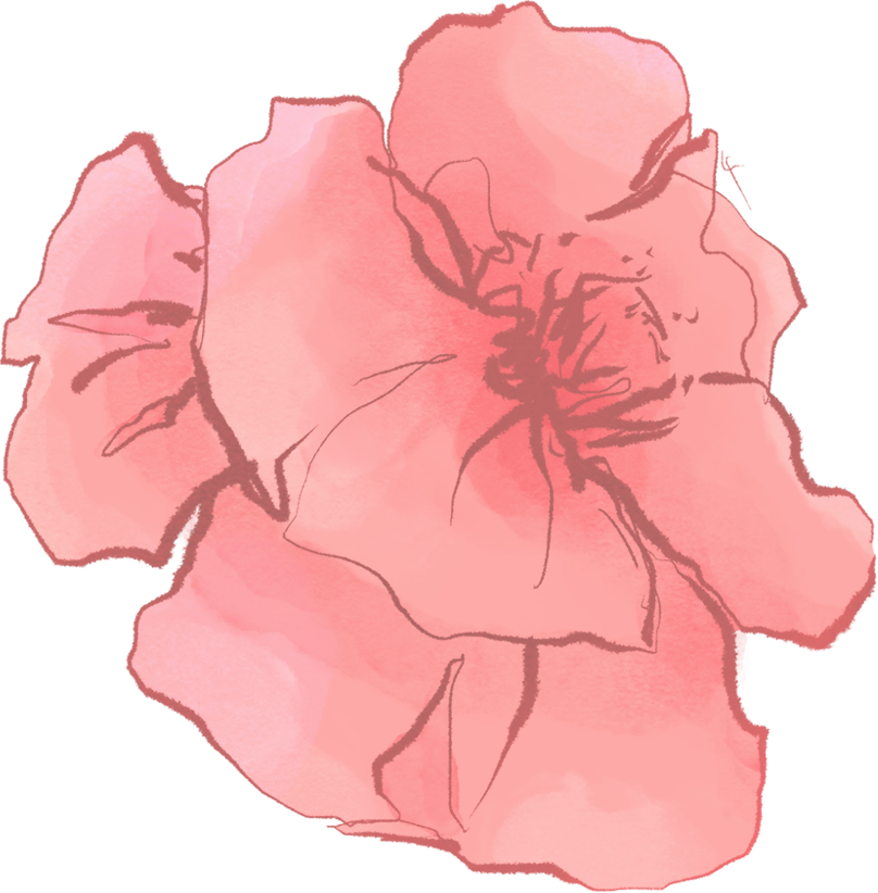 CORAL BLOOM — illustration element 6
