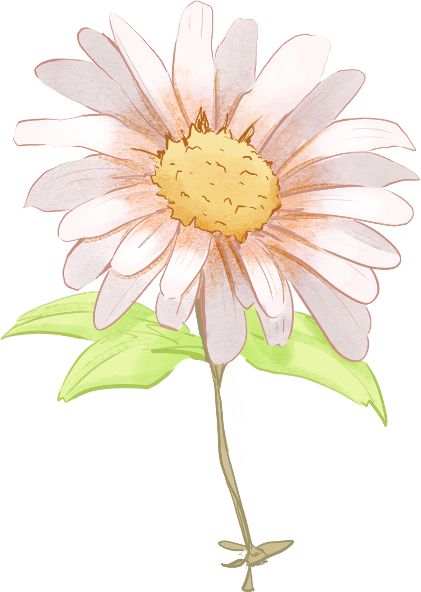 DAISY — illustration element 9