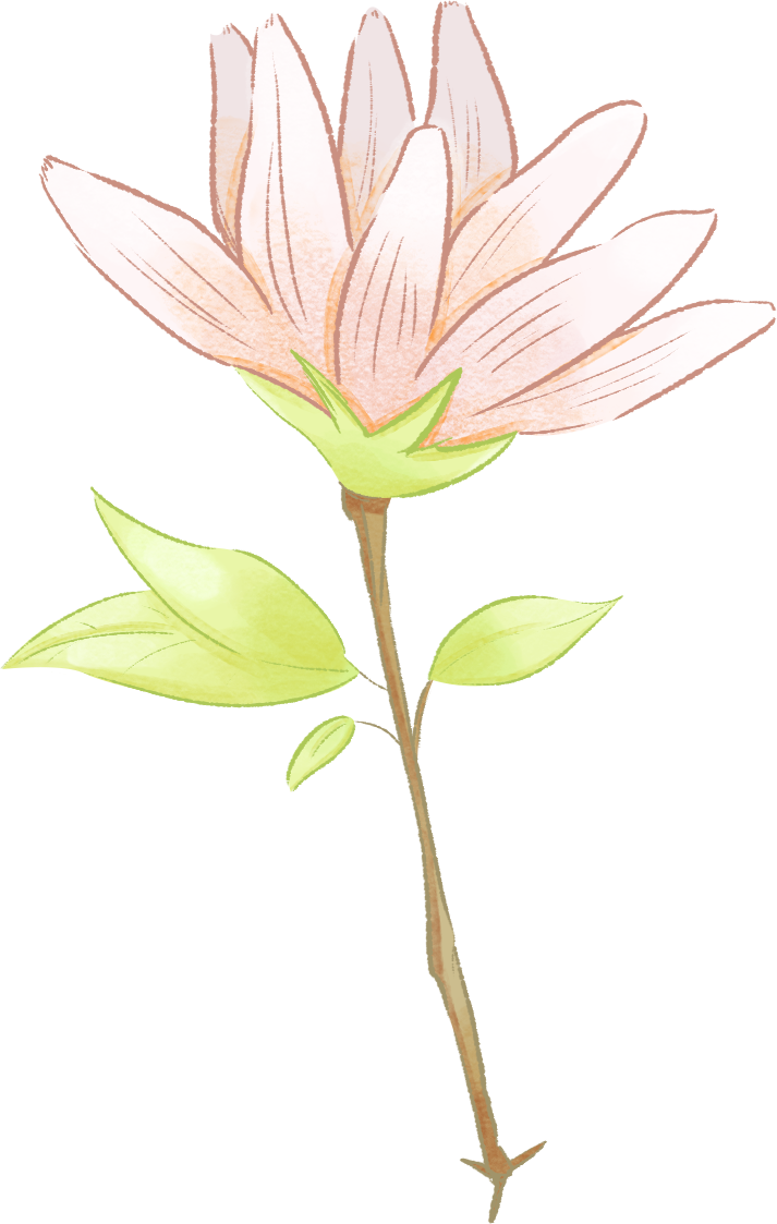 OPEN BLOOM — illustration element 10